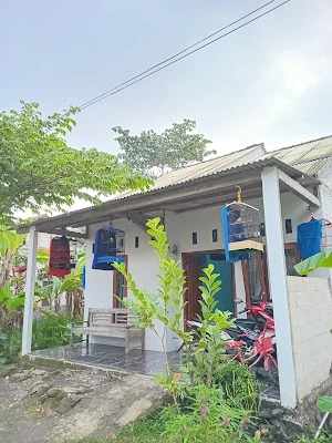Ramane aqila
