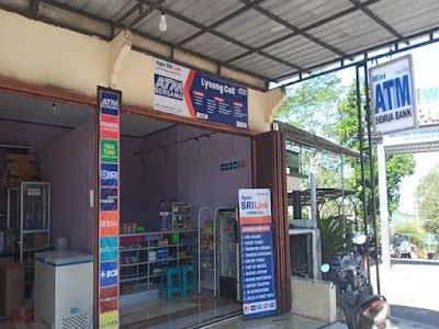 Agen Brilink Lysong Cell