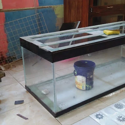 Nata urip