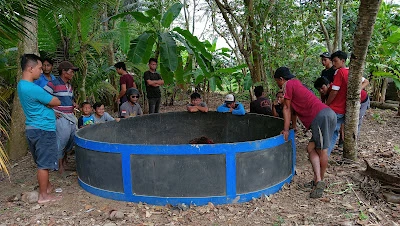 Rimbafarm