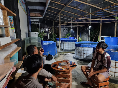 ABEE KOI FARM PANGANDARAN