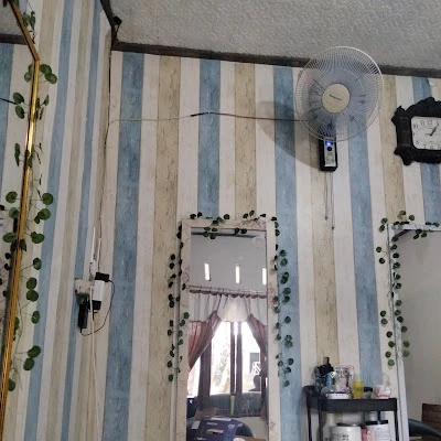 Ovy Salon