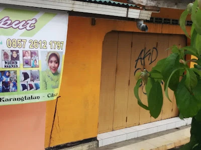 Raja Ciput