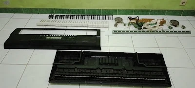 Mogo Tera Digital Elektronik
