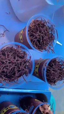 Nyoklat Klasik & Sate Seafood (Lakbok)