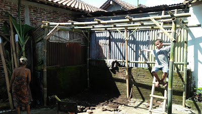 Adi tri wibowo