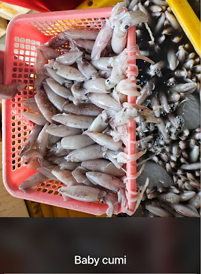 afrid zian seafood ( ikan laut segar )