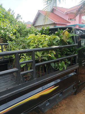 Agrin Jaya Bibit