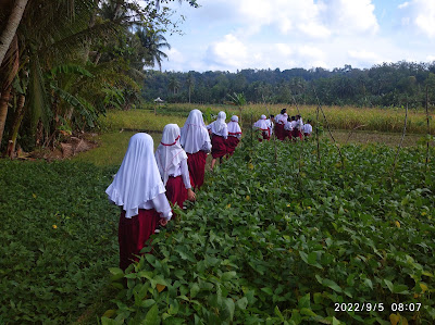 Agro Edu Wisata LEMBAH KALISARI INDAH