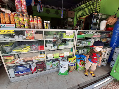 Agro Syifa ( Bp Baderun) )