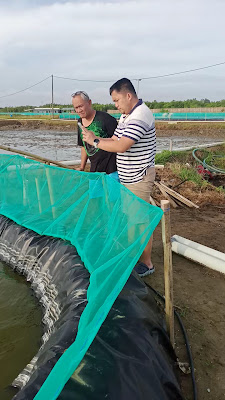 Agus Bakul Ayam