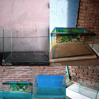 Akuarium store