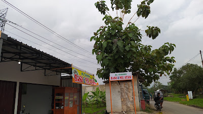 Al syahki baso & mie ayam