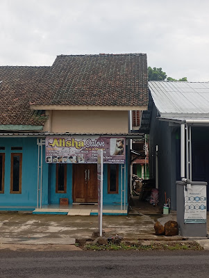 Alisha Salon