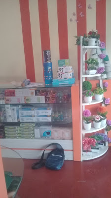 ANIS ACC Collections