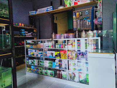 AQUANA Aquascape Design & Store