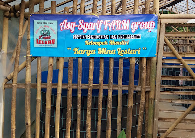 ASY-SYARIF CELL group