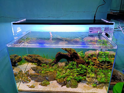 Atthar Led System