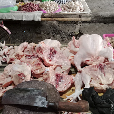Ayam boiler