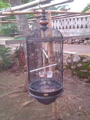 Ayam Goreng Dan Empal Bu Sitar