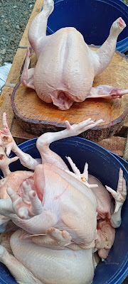 Ayam potong SAPON