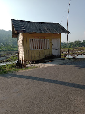 Ayam Potong YUMI