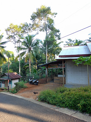AZIZ SATE