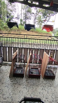 Halilintarbirdfarm