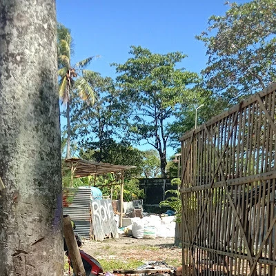 Rongsok pak didit