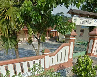 SDN Tumiyang