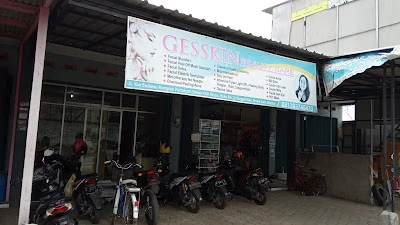 Gesskin Beauty Care
