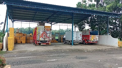 Darma Mina Jetis