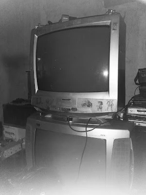 Zein service electronic