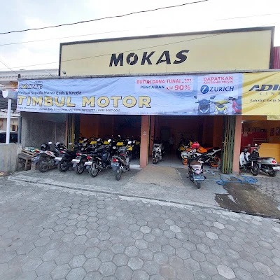Timbul motor