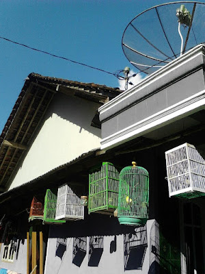 Babakan Cisalak