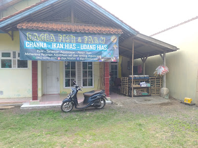 Bagea Fish & Farm