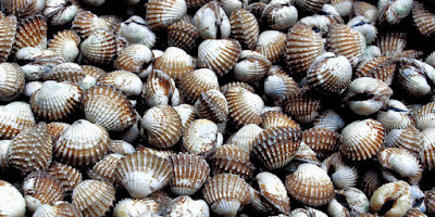 bakoel seafood purwokerto