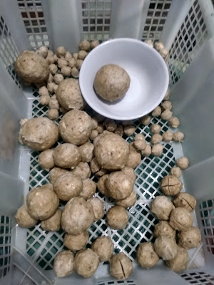 Bakso-ne Inyong