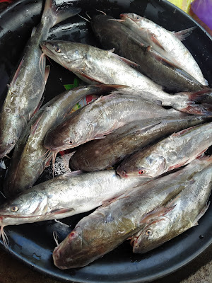 Bakul Seafood/Ikan Segar Gerilya Jaya