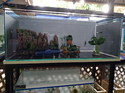 BALONG AQUATIC AQUARIUM