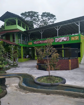 Balong pemancingan