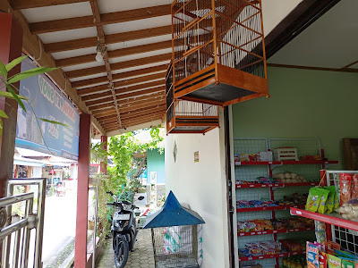 Batok Kelapa