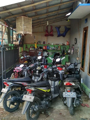 PAS Motor