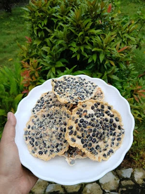 Rumah Peyek bu nani