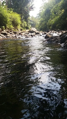 sungai rawa kembang