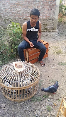 Bapak Qodar Service Elektronik