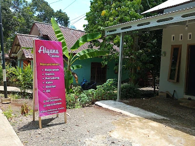 Alyana Collection
