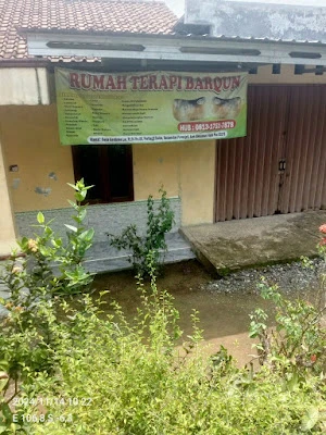 Toko Wasim Sutrisno Jual Belut _ Jamu