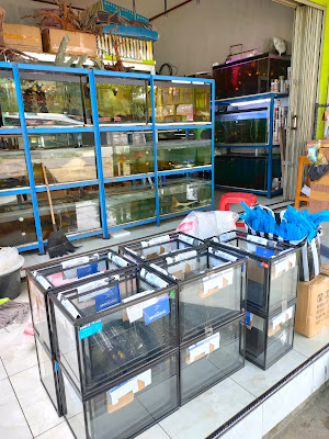 Berkah Aquarium