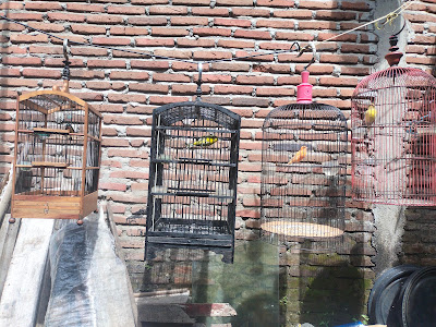 Berkah Rizki Farm